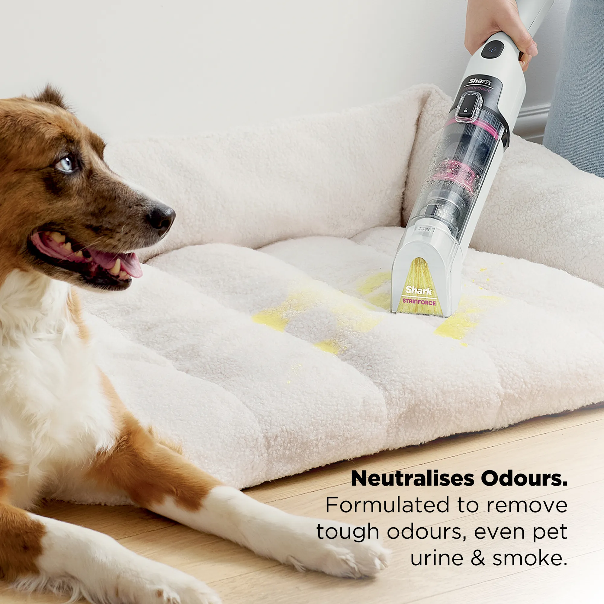 Shark StainForce Cordless Stain-Destroying Spot Cleaner - Image 5
